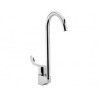 Llave Cuello de Ganso