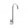 Llave Cuello de Ganso